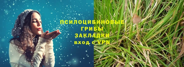 дмт Аркадак