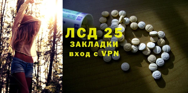 ГАЛЛЮЦИНОГЕННЫЕ ГРИБЫ Армянск