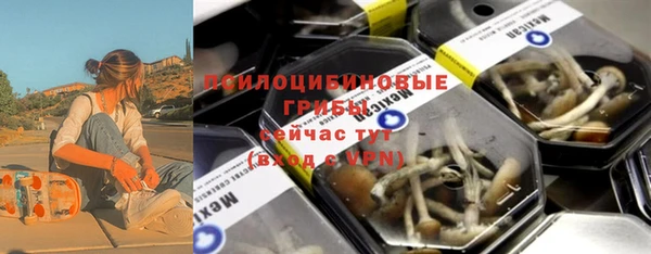 ГАЛЛЮЦИНОГЕННЫЕ ГРИБЫ Армянск