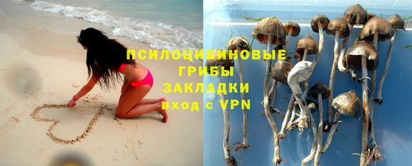 дмт Аркадак