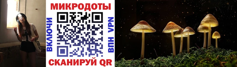 где можно купить наркотик Приволжск hydra рабочий сайт Псилоцибиновые грибы ЛСД